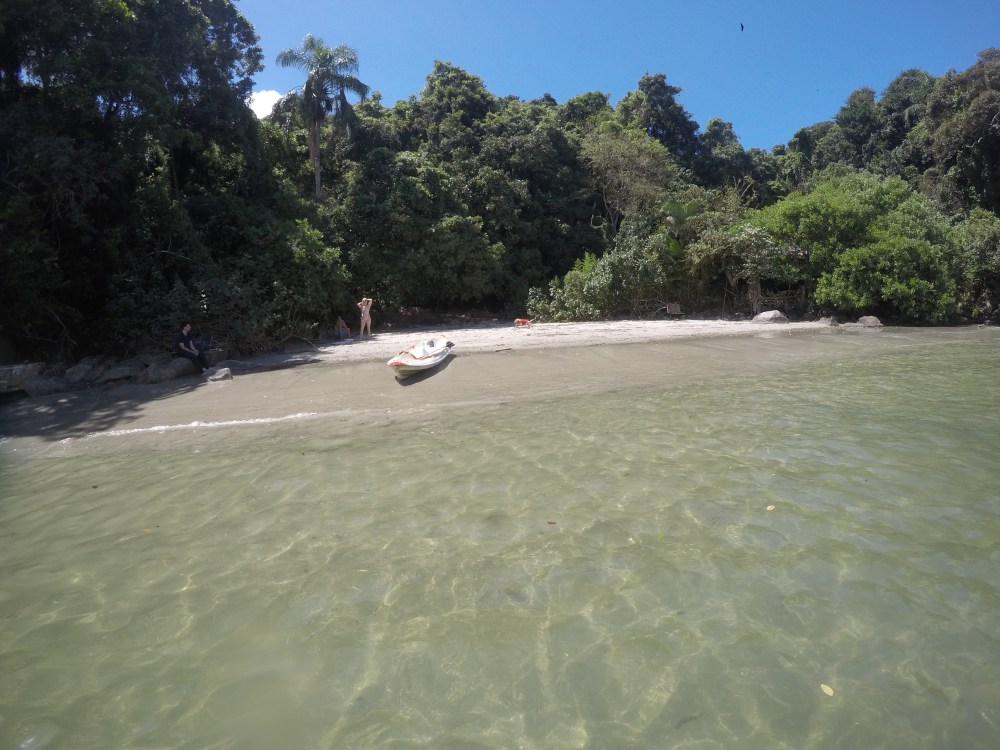 DCIM100GOPROGOPR2136.